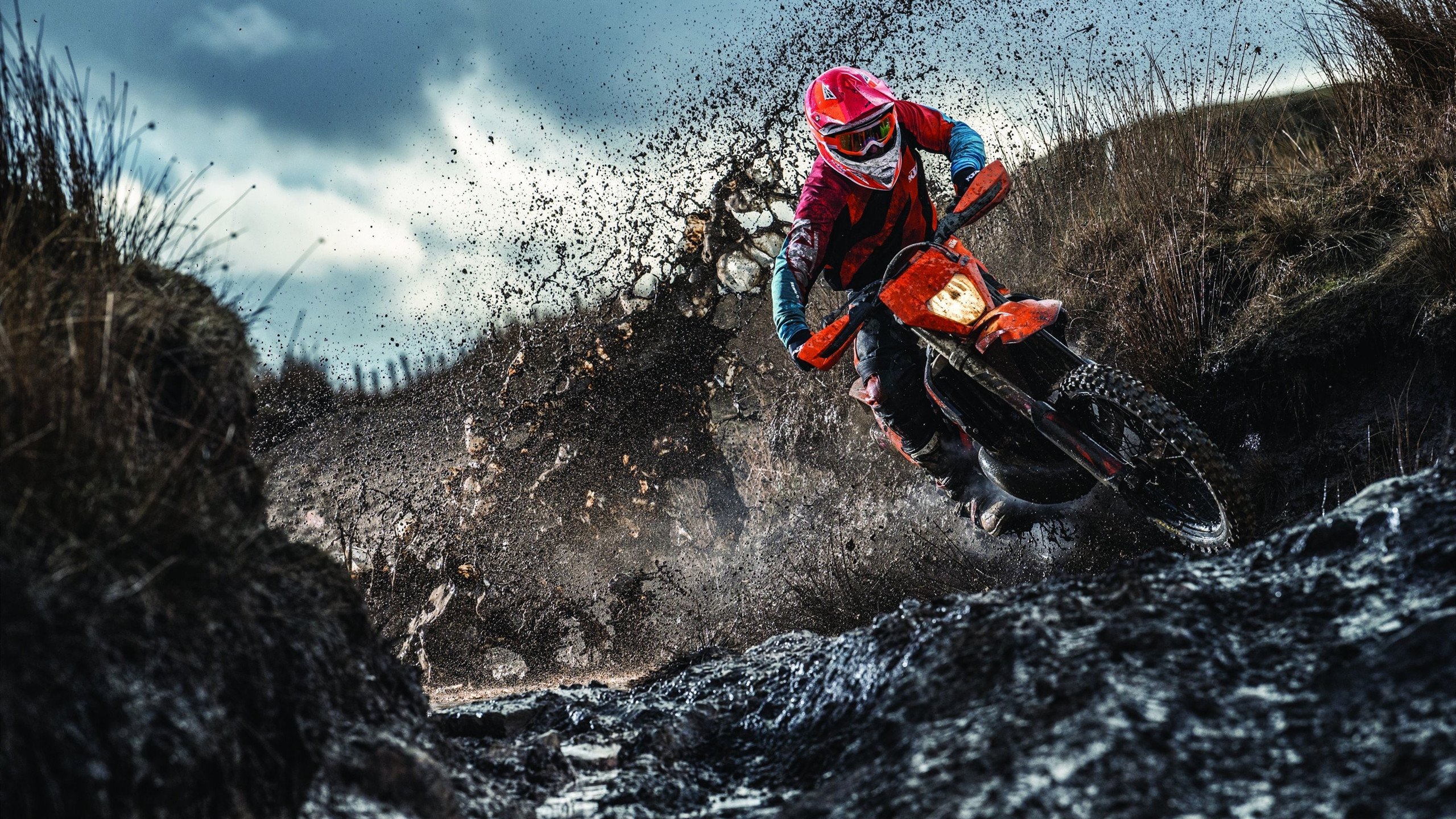 “马丁·高尔西：阿根廷橄榄球的中坚力量，未来更强”